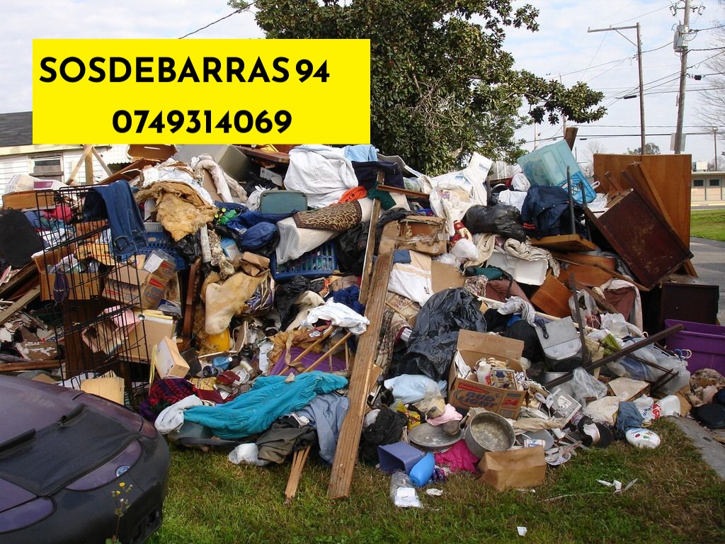 POUBELLE Service débarras Syndrome de Diogène 94